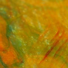 Orange green red painting close-up