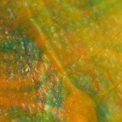 Orange green painting close-up