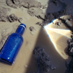 Blue bottle in mud