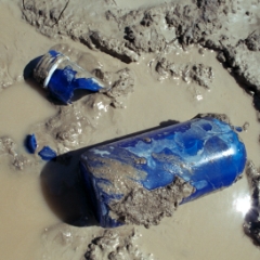 Broken blue bottle in mud