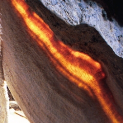 Cave bacon lit from behind
