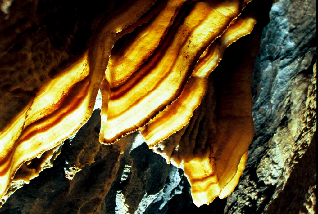 Soldiers Cave photograph. Cave bacon is formed when a thin stream of water dribbles down the edge and slowly leaves deposits over a very long time. In the end you get thin ribbony formations of minerals. This happens in limestone-based caves.