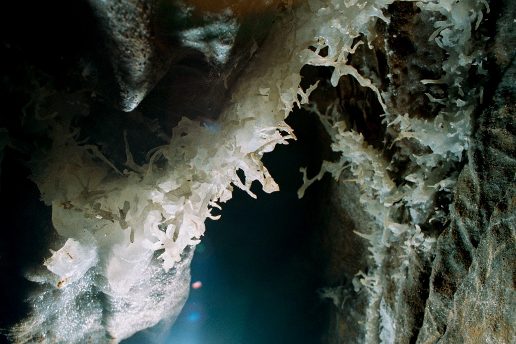 Soldiers Cave photograph. From Wikipedia: A helictite is a speleothem found in limestone caves that changes its axis from the vertical at one or more stages during its growth. They have a curving or angular form that looks as if they were grown in zero gravity.