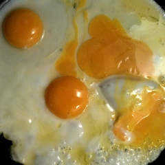Three fried eggs