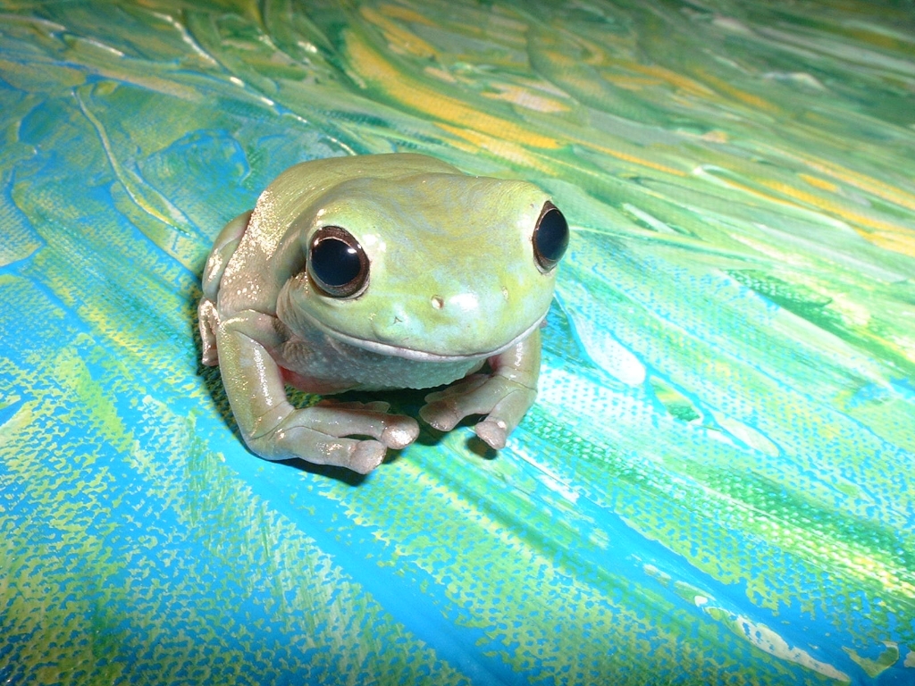 Frogs photograph. His colors are amazing. He really did try to blend into the painting.