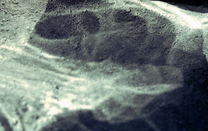 Burning Man 1997 photograph. 