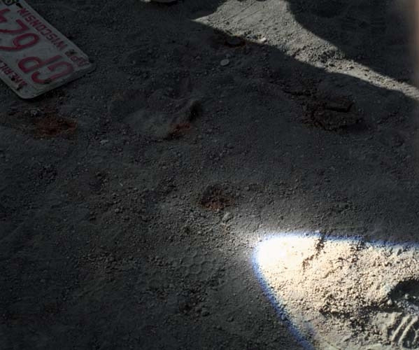 Burning Man 1997 photograph. 