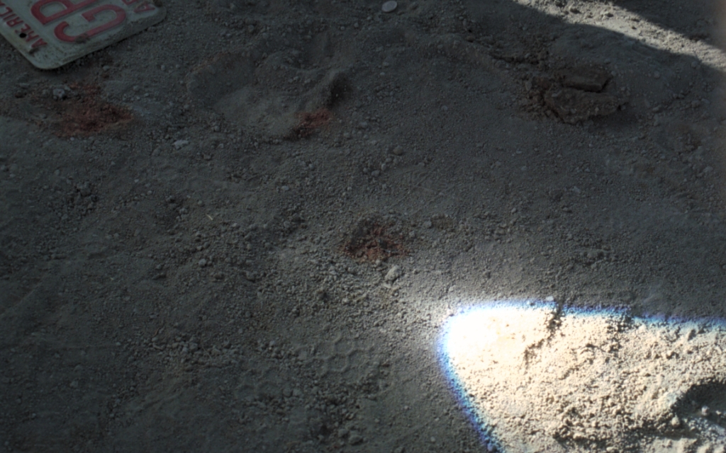 Burning Man 1997 photograph. 