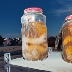 Weird dolls in jars