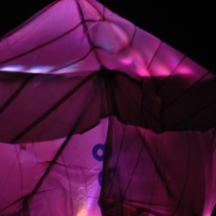 Magenta tent