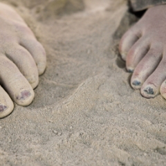 Two feet with manicured toes in the dust