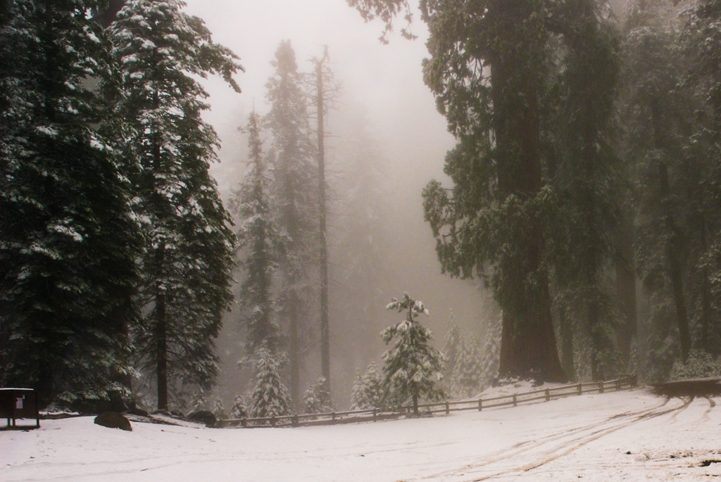 Lilburn Cave and Snow in King's Canyon photograph. This is the trailhead to Saddle Canyon.