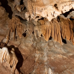 Lilburn Cave room with stalactites