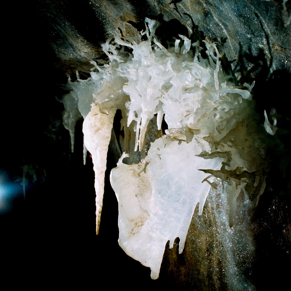 Soldiers Cave photograph. Helictite is formed when water and minerals are extruded from the wall over a very long period of time. The results are the beautiful, spindly, almost-transparent formation you see here. 