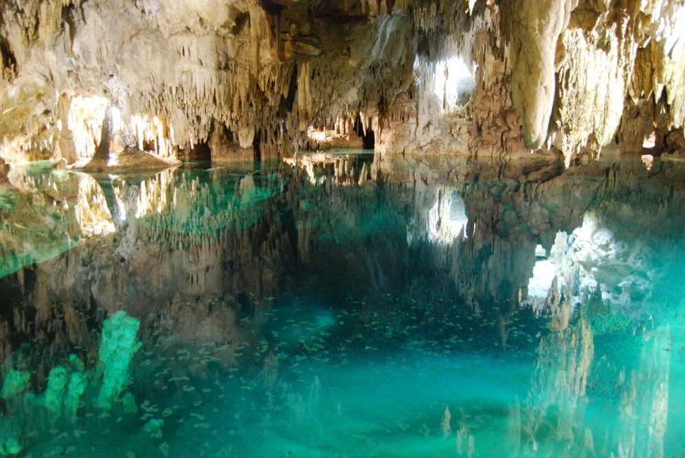 Mexico Caves & Cenotes photograph. Cenote with fish and lake at Cenote Aktun Chen near Akumel, Mexico. We were on wooden walkway. Photo by Peter Hamel.