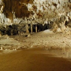 Wide angle, stalactites in Aktun Chen