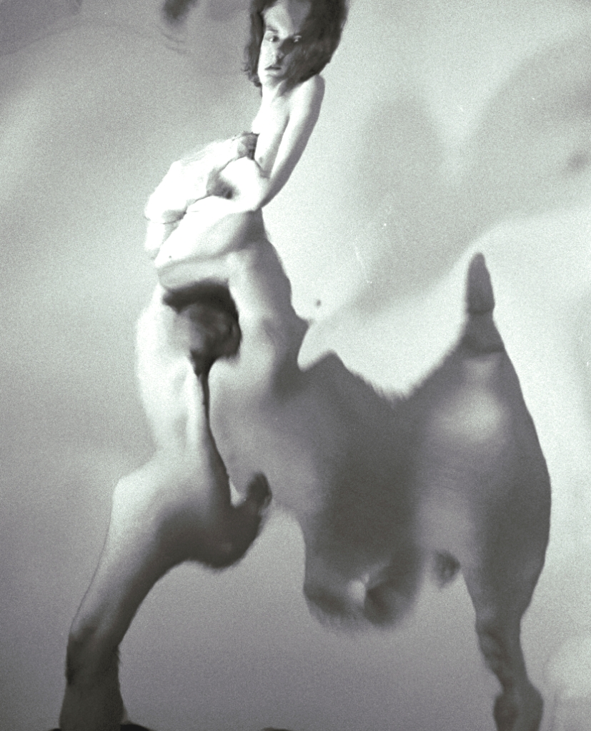 Distorted portraits photograph. 