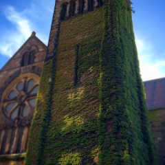 Boston Church with ivy