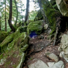 Rocky area in the park