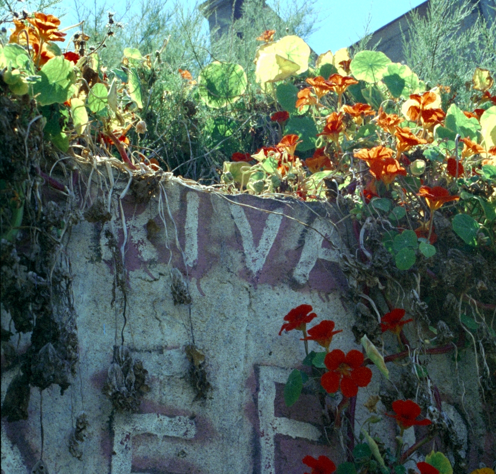 San Francisco, California photograph. 