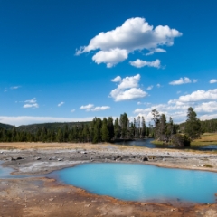 Black Opal Pool above the Firehole River in Biscuit Basin